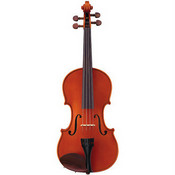 picture of a viola