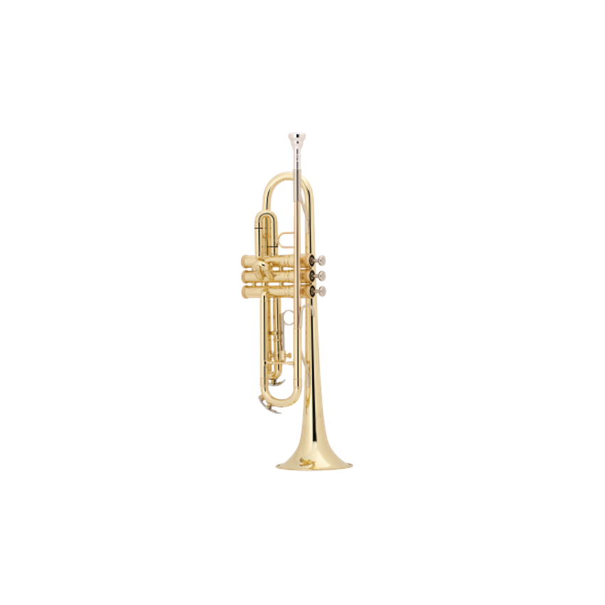 trumpet purchase